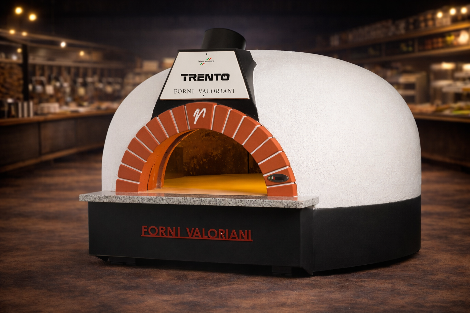 Gas and Wood Fired Pizza Oven