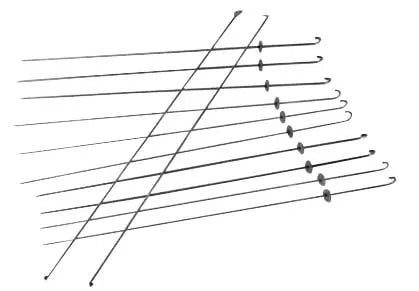 Omcan Skewers for Tandoor Oven (Set of 12)